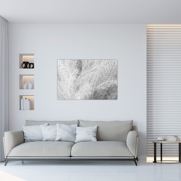 Kép - Pampafű N⁰1 (90x60 cm)