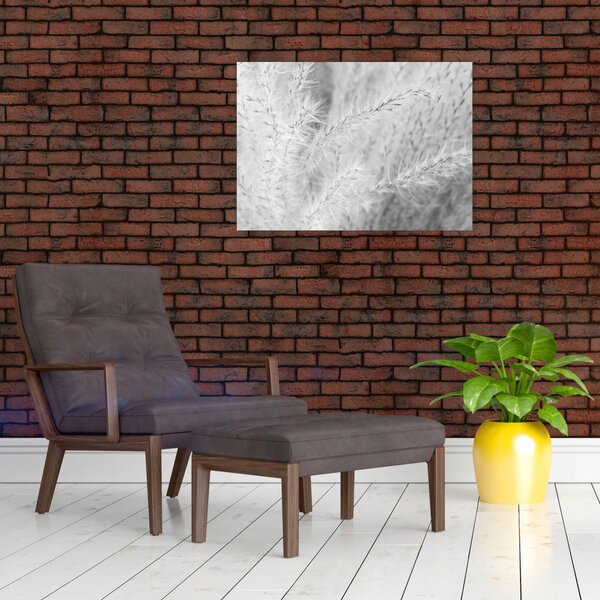 Kép - Pampafű N⁰1 (70x50 cm)