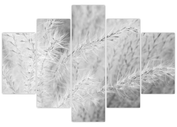 Kép - Pampafű N⁰1 (150x105 cm)