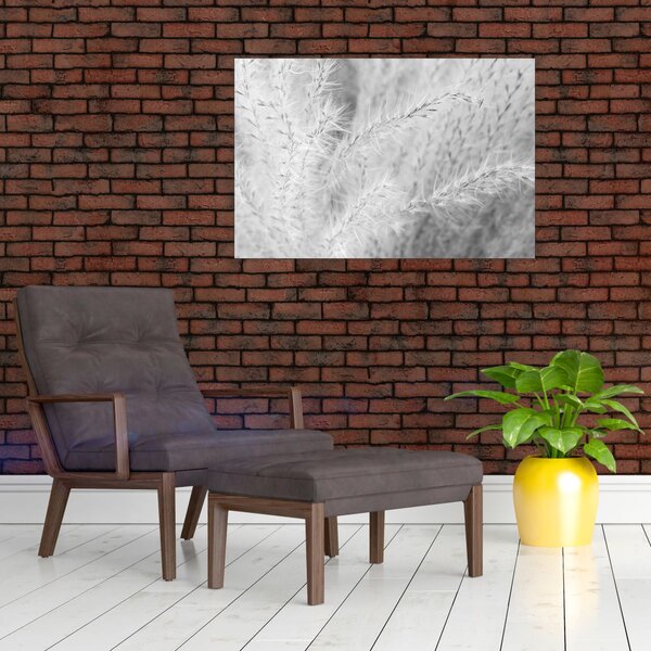 Kép - Pampafű N⁰1 (90x60 cm)