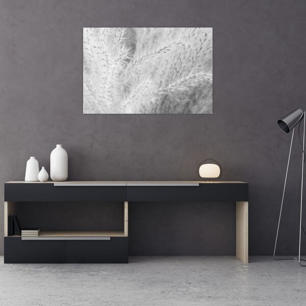 Kép - Pampafű N⁰1 (90x60 cm)