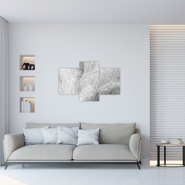 Kép - Pampafű N⁰1 (90x60 cm)