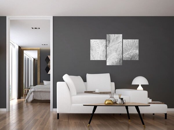 Kép - Pampafű N⁰1 (90x60 cm)