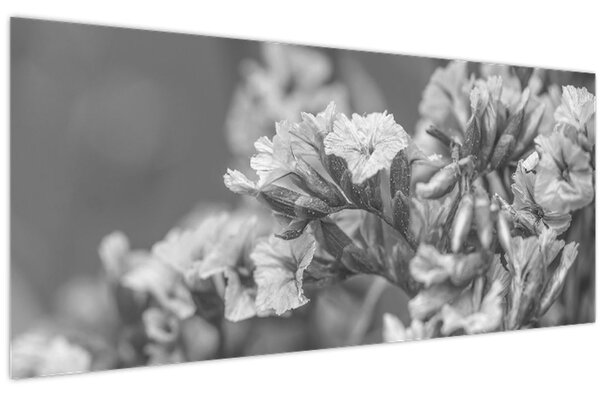 Kép - Szárított virágok (120x50 cm)