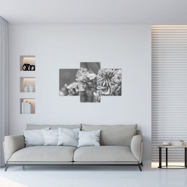 Kép - Szárított virágok (90x60 cm)
