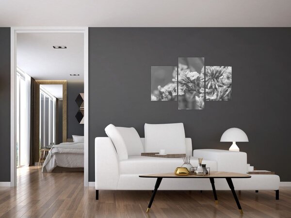 Kép - Szárított virágok (90x60 cm)