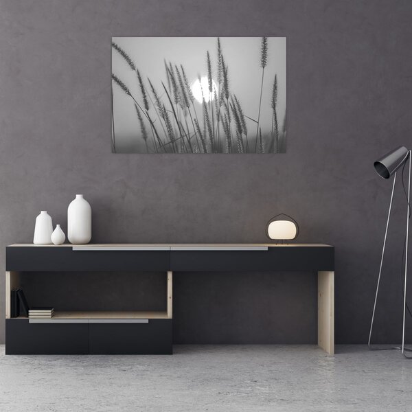 Kép - Mező naplementében (90x60 cm)