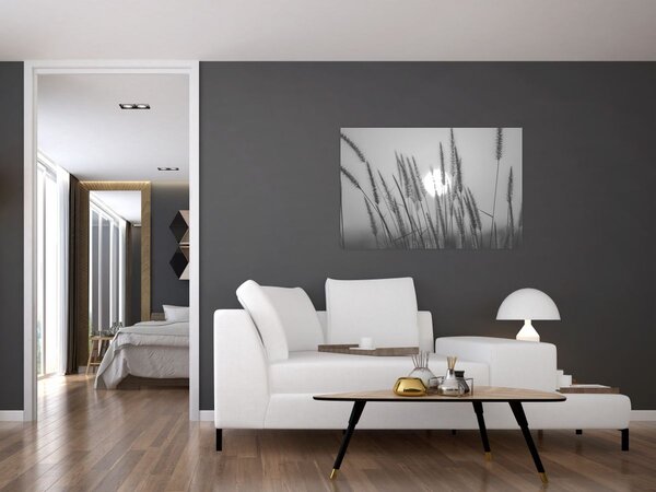 Kép - Mező naplementében (90x60 cm)