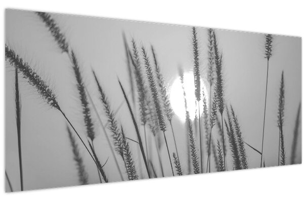Kép - Mező naplementében (120x50 cm)