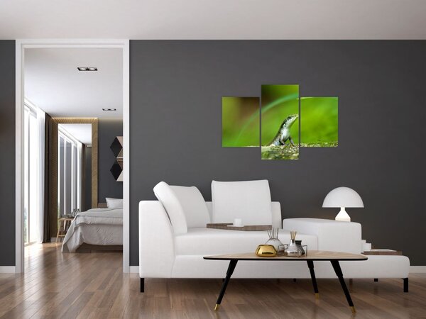 Gyíkok képe (90x60 cm)