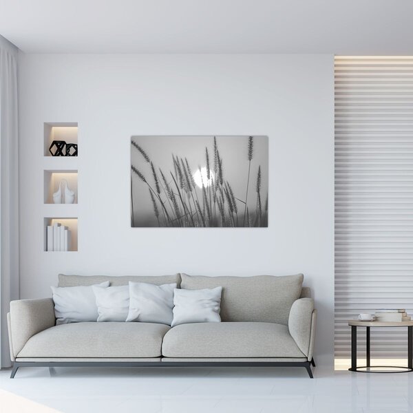 Kép - Mező naplementében (90x60 cm)