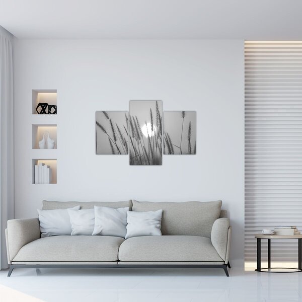 Kép - Mező naplementében (90x60 cm)