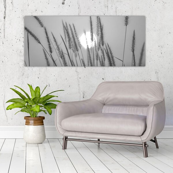 Kép - Mező naplementében (120x50 cm)