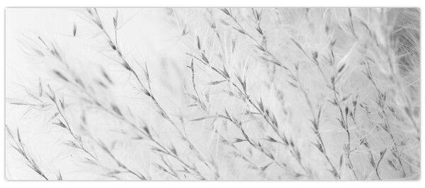 Kép - Pampafű N⁰2 (120x50 cm)