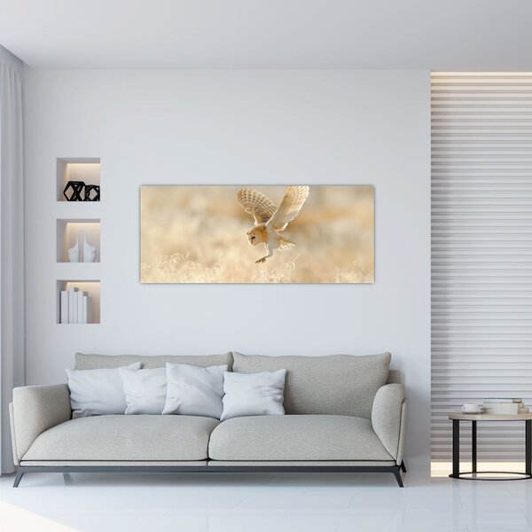 Kép - Bagoly (120x50 cm)