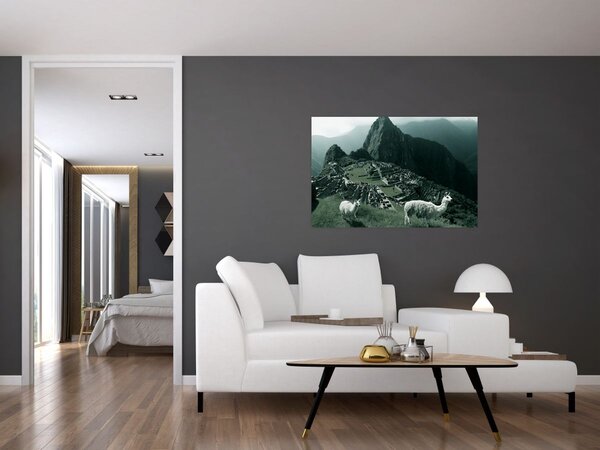 Kép - Lámák a perui Machu Picchunál (90x60 cm)
