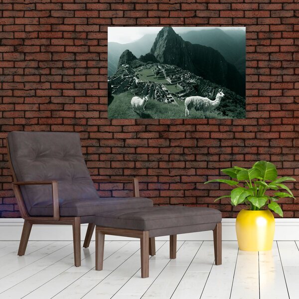 Kép - Lámák a perui Machu Picchunál (90x60 cm)