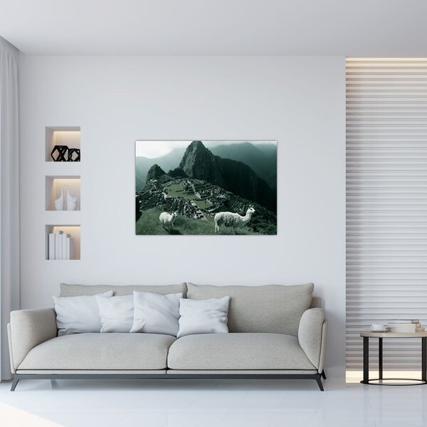 Kép - Lámák a perui Machu Picchunál (90x60 cm)