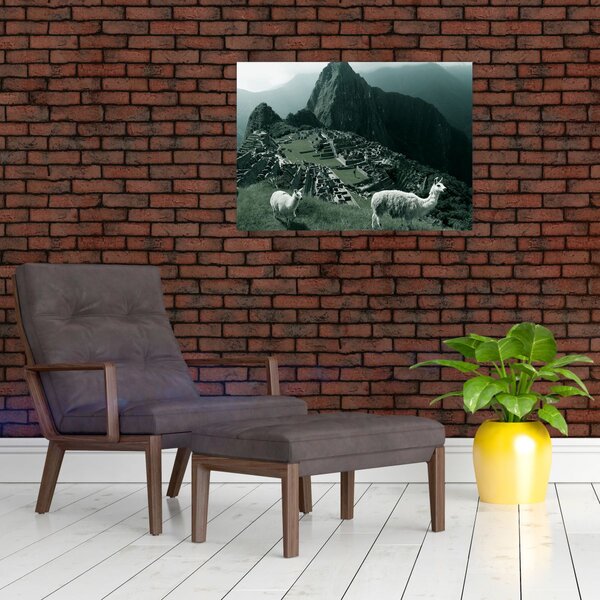 Kép - Lámák a perui Machu Picchunál (70x50 cm)