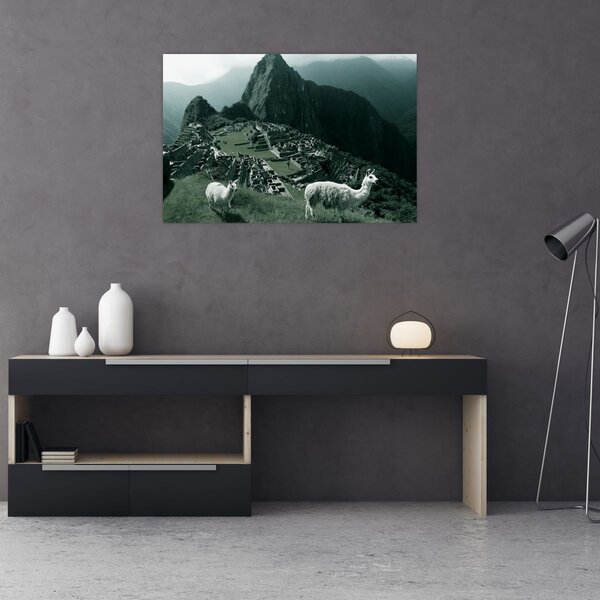 Kép - Lámák a perui Machu Picchunál (90x60 cm)