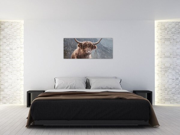 Kép - Highlander tehén (120x50 cm)