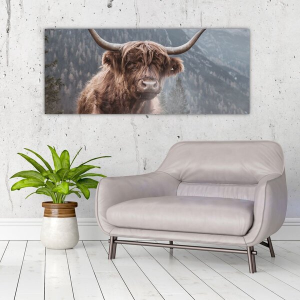 Kép - Highlander tehén (120x50 cm)