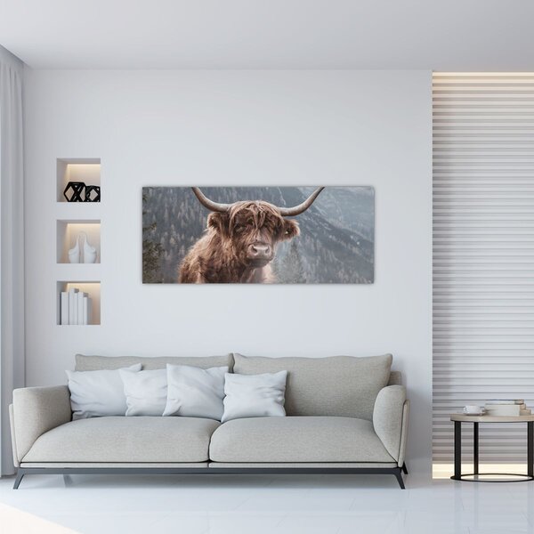 Kép - Highlander tehén (120x50 cm)