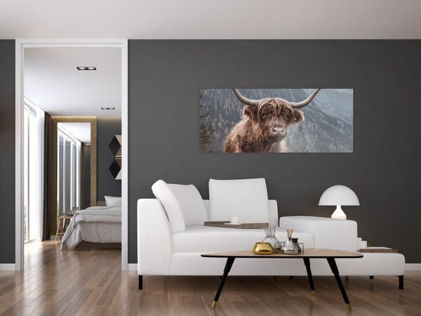 Kép - Highlander tehén (120x50 cm)
