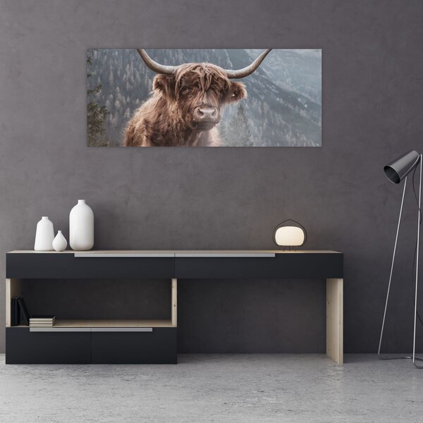 Kép - Highlander tehén (120x50 cm)
