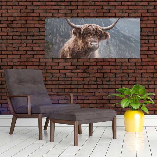 Kép - Highlander tehén (120x50 cm)
