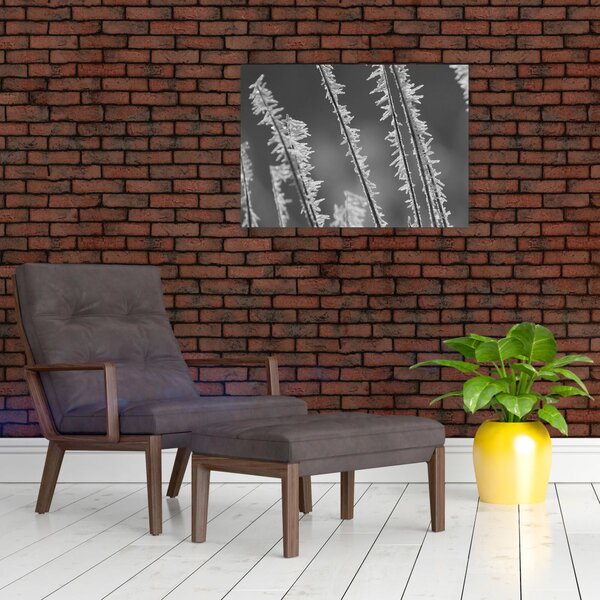 Kép - Fagyos hideg (70x50 cm)