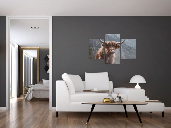 Kép - Highlander tehén (90x60 cm)