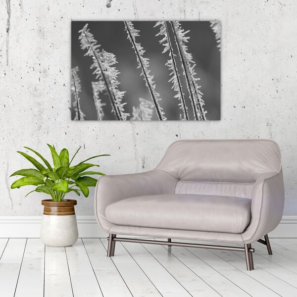 Kép - Fagyos hideg (90x60 cm)