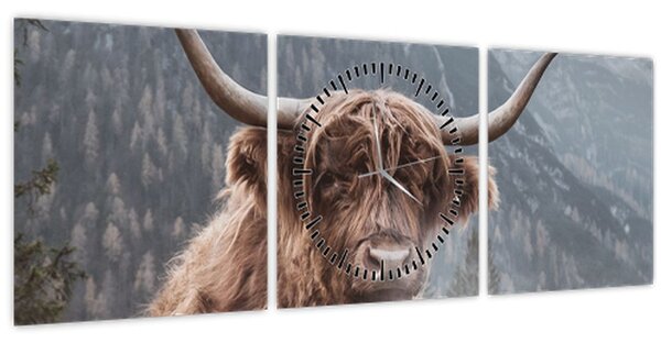 Kép - Highlander tehén (órával) (90x30 cm)