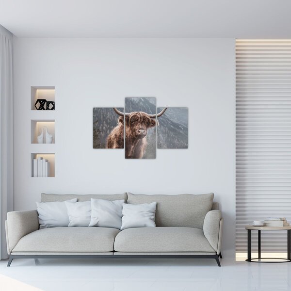 Kép - Highlander tehén (90x60 cm)