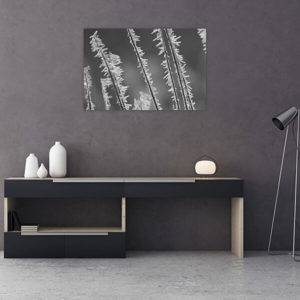 Kép - Fagyos hideg (90x60 cm)
