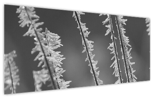 Kép - Fagyos hideg (120x50 cm)