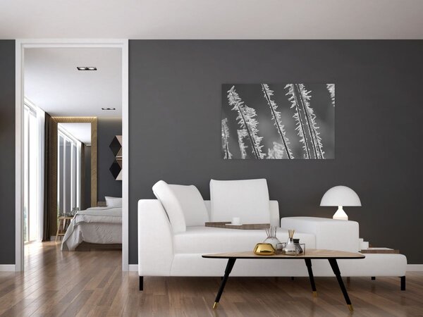 Kép - Fagyos hideg (90x60 cm)