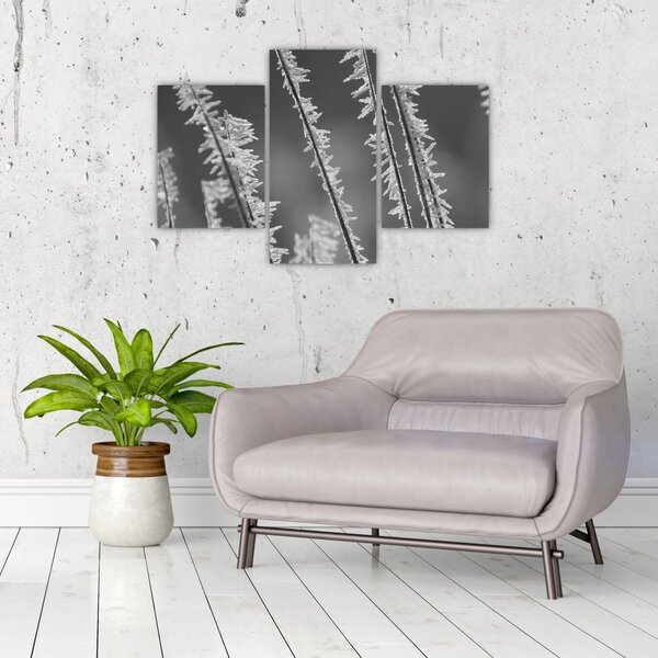 Kép - Fagyos hideg (90x60 cm)
