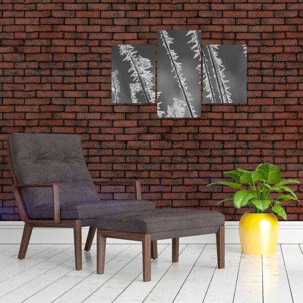 Kép - Fagyos hideg (90x60 cm)