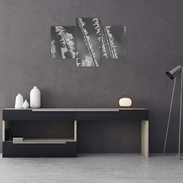 Kép - Fagyos hideg (90x60 cm)