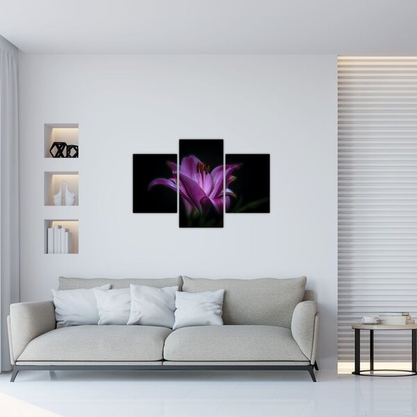 A liliom képe (90x60 cm)