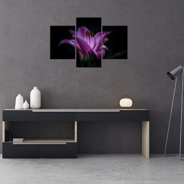 A liliom képe (90x60 cm)