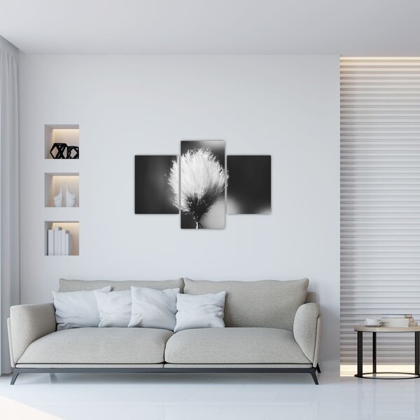 Kép - Fekete-fehér pamutfű (90x60 cm)