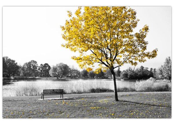 Kép - Pihenés a parkban (90x60 cm)
