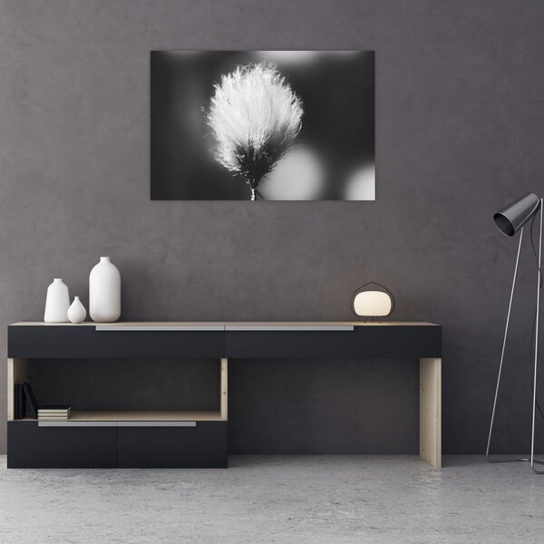 Kép - Fekete-fehér pamutfű (90x60 cm)