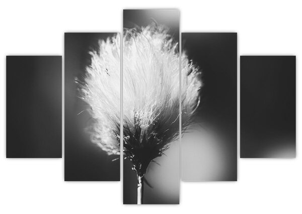 Kép - Fekete-fehér pamutfű (150x105 cm)