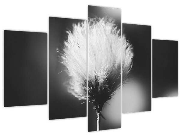Kép - Fekete-fehér pamutfű (150x105 cm)