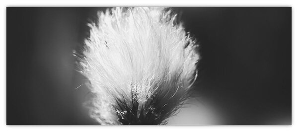 Kép - Fekete-fehér pamutfű (120x50 cm)