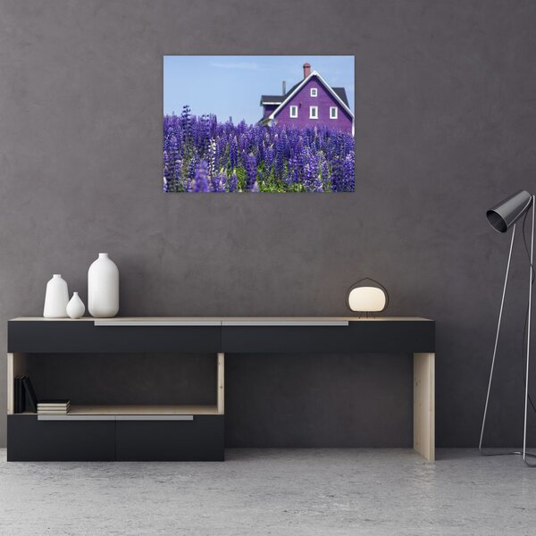 Levandula mező képe (70x50 cm)